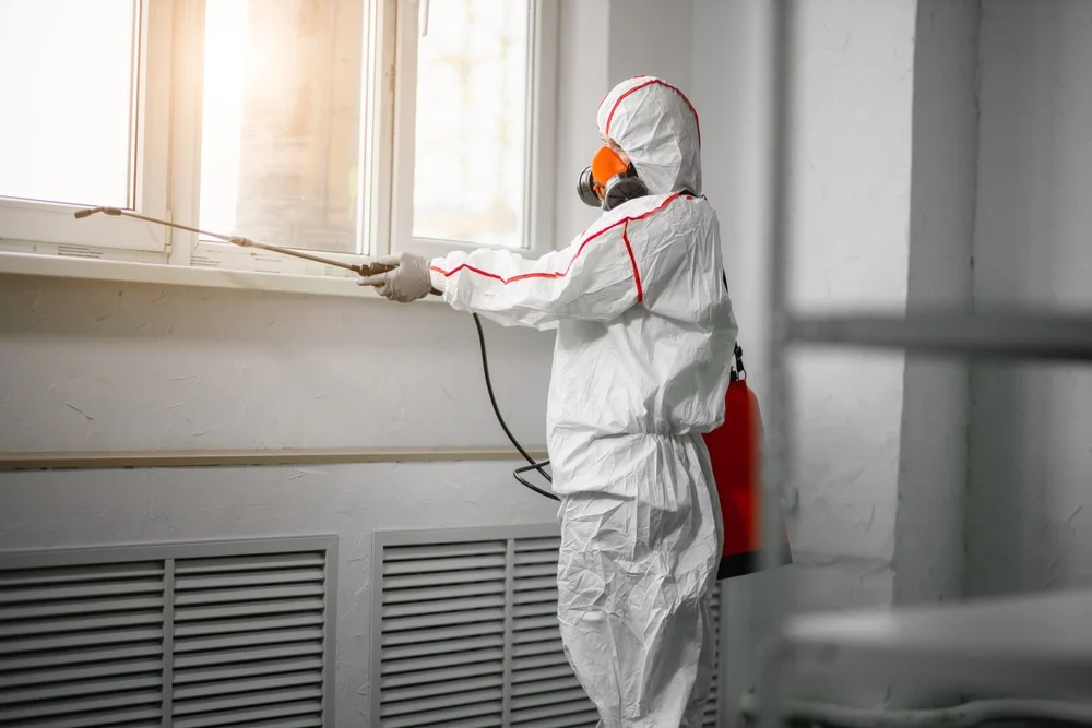 Professional mold remediation services in Richlands, NC